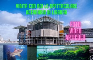Oceanario di Lisbona: tra squali, coralli e Florestas Submersas