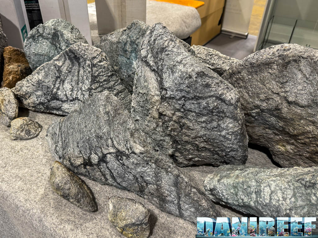 Rocce naturali per l'allestimento dell'acquario