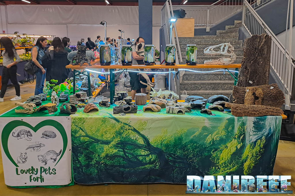 Conosciamo gli Axolotl con Lovely Pets Forlì ad AcquariaItalia 2025