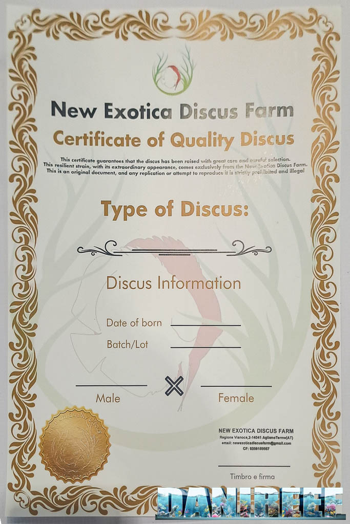 L'attestato di acquisto dei Discus di New Exotica Discus Farm ad AcquariaItalia 2025