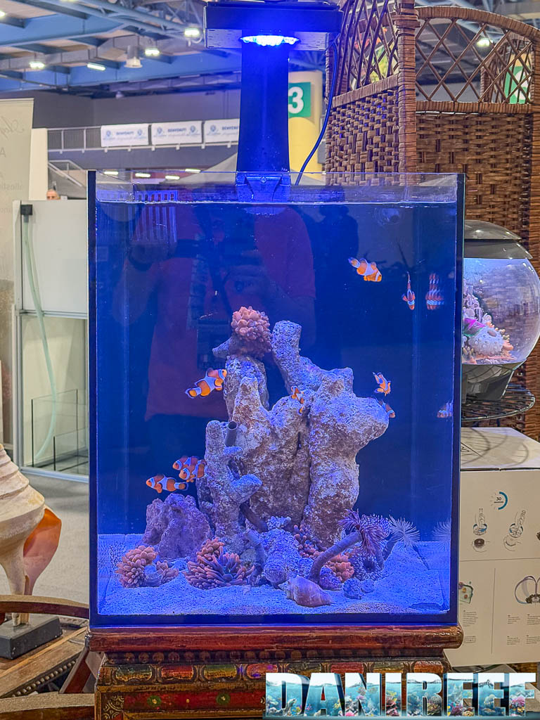 first 100 days of a marine aquarium with controlled lighting and detritivores