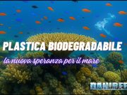 Addio microplastiche? La plastica biodegradabile cambia il futuro plastica biodegradabile