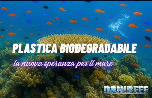 Addio microplastiche? La plastica biodegradabile cambia il futuro plastica biodegradabile