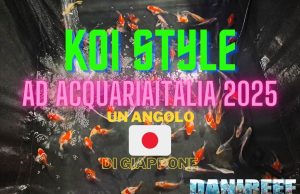 Koi Style ad AcquariaItalia: l’angolo del Giappone che ha incantato tutti