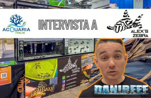 Alex’s Zebra – Alla scoperta dei Loricaridi di Acquariaitalia2025