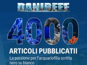 DaniReef supera i 4000 articoli: un traguardo da record