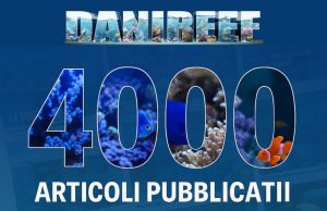 DaniReef supera i 4000 articoli: un traguardo da record