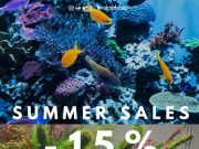 Sconti Daphbio Summer Sales: -15% su tutto fino al 22 luglio!