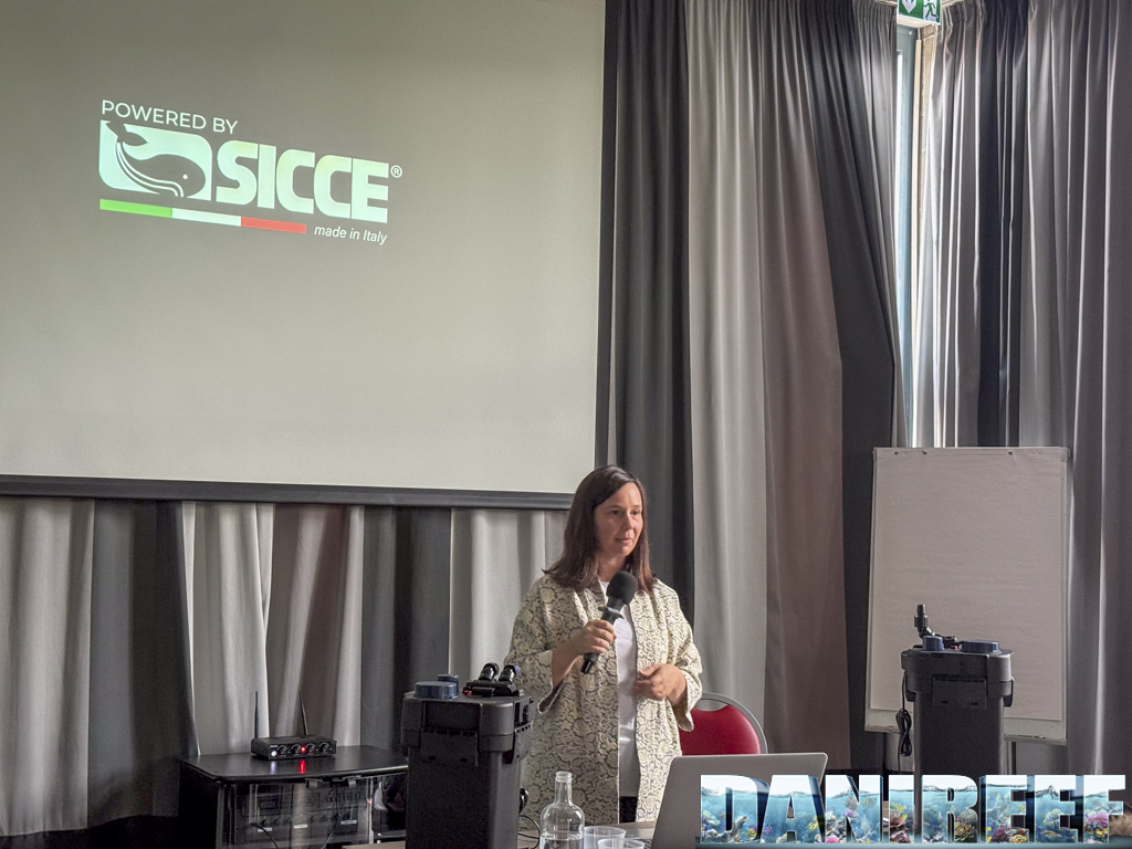 Sicce: innovazione e anteprime mondiali nel loro evento esclusivo