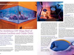 Tamara e Guido su Coral Magazine: l’acquario italiano da 4.500 litri conquista l’America