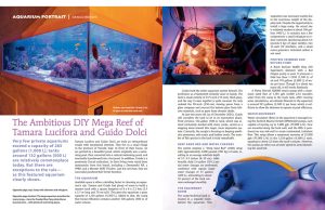 Tamara e Guido su Coral Magazine: l’acquario italiano da 4.500 litri conquista l’America