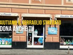 Il Serraglio Stregato: un negozio magico da salvare, con il cuore