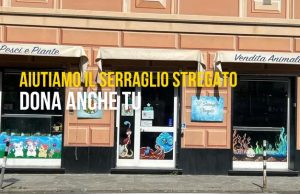 Il Serraglio Stregato: un negozio magico da salvare, con il cuore