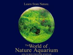 Seminario ADA con Yusuke Homma: evento da record a Padova!