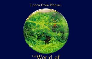 Seminario ADA con Yusuke Homma: evento da record a Padova!