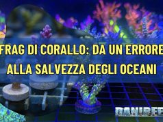 Frag di corallo: da un errore alla salvezza degli oceani fragdicorallo