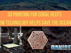 3D printing for coral reefs: how technology helps save the Oceans