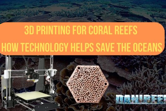 3D printing for coral reefs: how technology helps save the Oceans