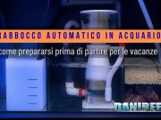Vacanze e acquario: come gestire il rabbocco automatico