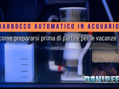 Vacanze e acquario: come gestire il rabbocco automatico