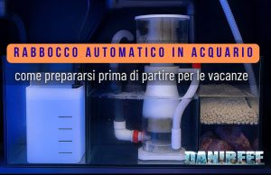 Vacanze e acquario: come gestire il rabbocco automatico