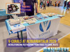 V-Corals at AcquariaItalia 2025: The Revolution Starts from Frags