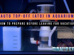Vacations & Aquarium: How to Manage Auto Top-Off (ATO)