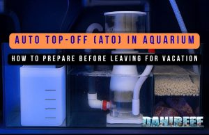 Vacations & Aquarium: How to Manage Auto Top-Off (ATO)