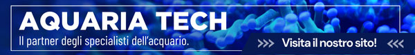 Aquariatech tutta la tecnologia che ti serve in tempo reale