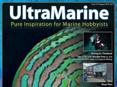 È uscito UltraMarine 113: viaggi, reef da sogno e novità acquariofile