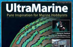 È uscito UltraMarine 113: viaggi, reef da sogno e novità acquariofile