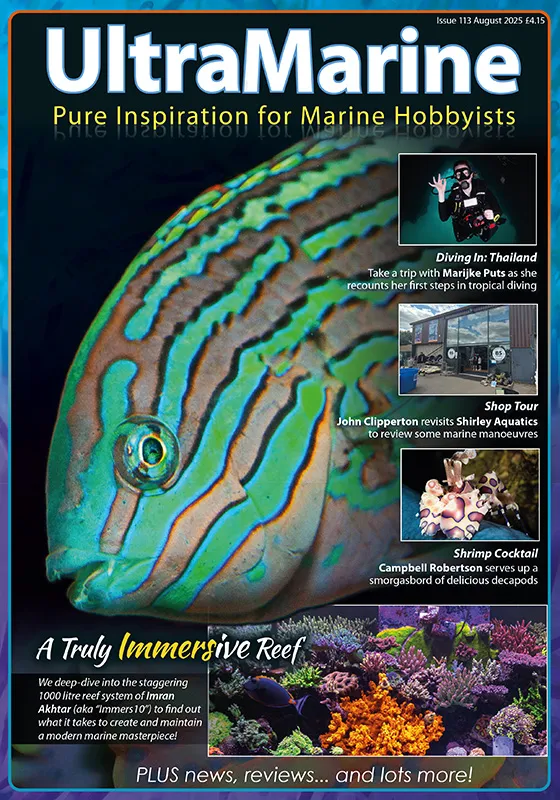 È uscito UltraMarine 113: viaggi, reef da sogno e novità acquariofile