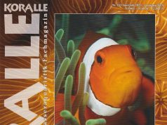 Koralle Magazine 153: relazioni e dipendenze nella barriera corallina