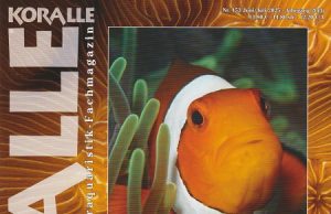 Koralle Magazine 153: relazioni e dipendenze nella barriera corallina