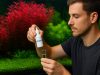 potassio e macroelementi nell’aquascaping: guida avanzata al bilanciamento