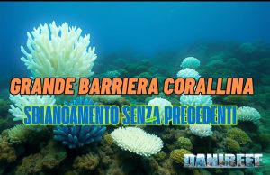 Grande Barriera Corallina: sbiancamento record 2024-2025 – 33% di perdita sbiancamento della barriera corallina australiana