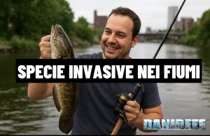Specie invasive nei fiumi: il lato oscuro dell’acquariofilia