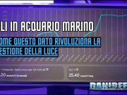 DLI in acquario marino: come ti imposto la giusta illuminazione DLI acquario marino