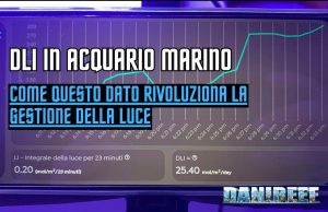 DLI in acquario marino: come ti imposto la giusta illuminazione DLI acquario marino