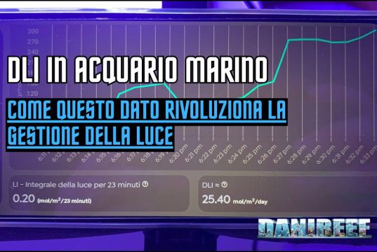 DLI in acquario marino: come ti imposto la giusta illuminazione DLI acquario marino