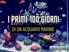I Primi 100 giorni di un acquario marino: guida completa primi 100 giorni acquario marino con regolazione luce e detritivori