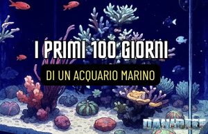 I Primi 100 giorni di un acquario marino: guida completa primi 100 giorni acquario marino con regolazione luce e detritivori