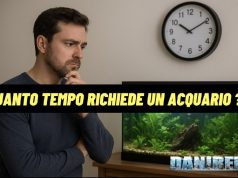 Acquario dolce o marino quanto tempo serve per la manutenzione? Quanto tempo richiede un acquario