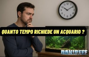 Acquario dolce o marino quanto tempo serve per la manutenzione? Quanto tempo richiede un acquario