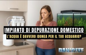 Impianto di depurazione domestico: l’acqua va bene per l’acquario? acqua depuratore domestico acquario
