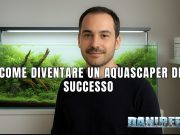 Guida all’Aquascaping: come prepararsi per lo IAPLC aquascaper
