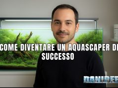 Guida all’Aquascaping: come prepararsi per lo IAPLC aquascaper