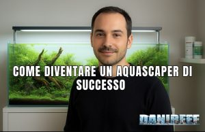 Guida all’Aquascaping: come prepararsi per lo IAPLC aquascaper