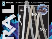 Nuovo CORAL Magazine: ciclo, biodiversità e nuove prospettive