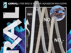 Nuovo CORAL Magazine: ciclo, biodiversità e nuove prospettive